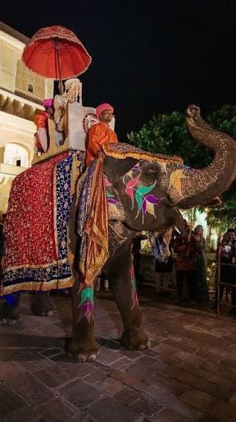 Royal wedding procession with decorated elephant and royal umbrella at Castle Narela