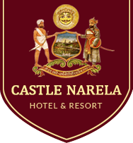 Castle Narela logo - Heritage Hotel and Heritage Resort in Chittorgarh